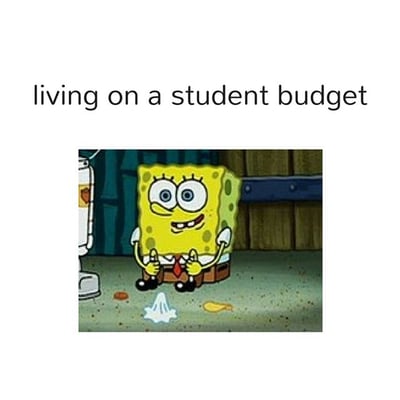 student budget meme