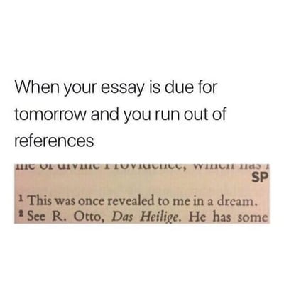essay references meme