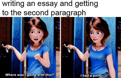 writing an essay meme