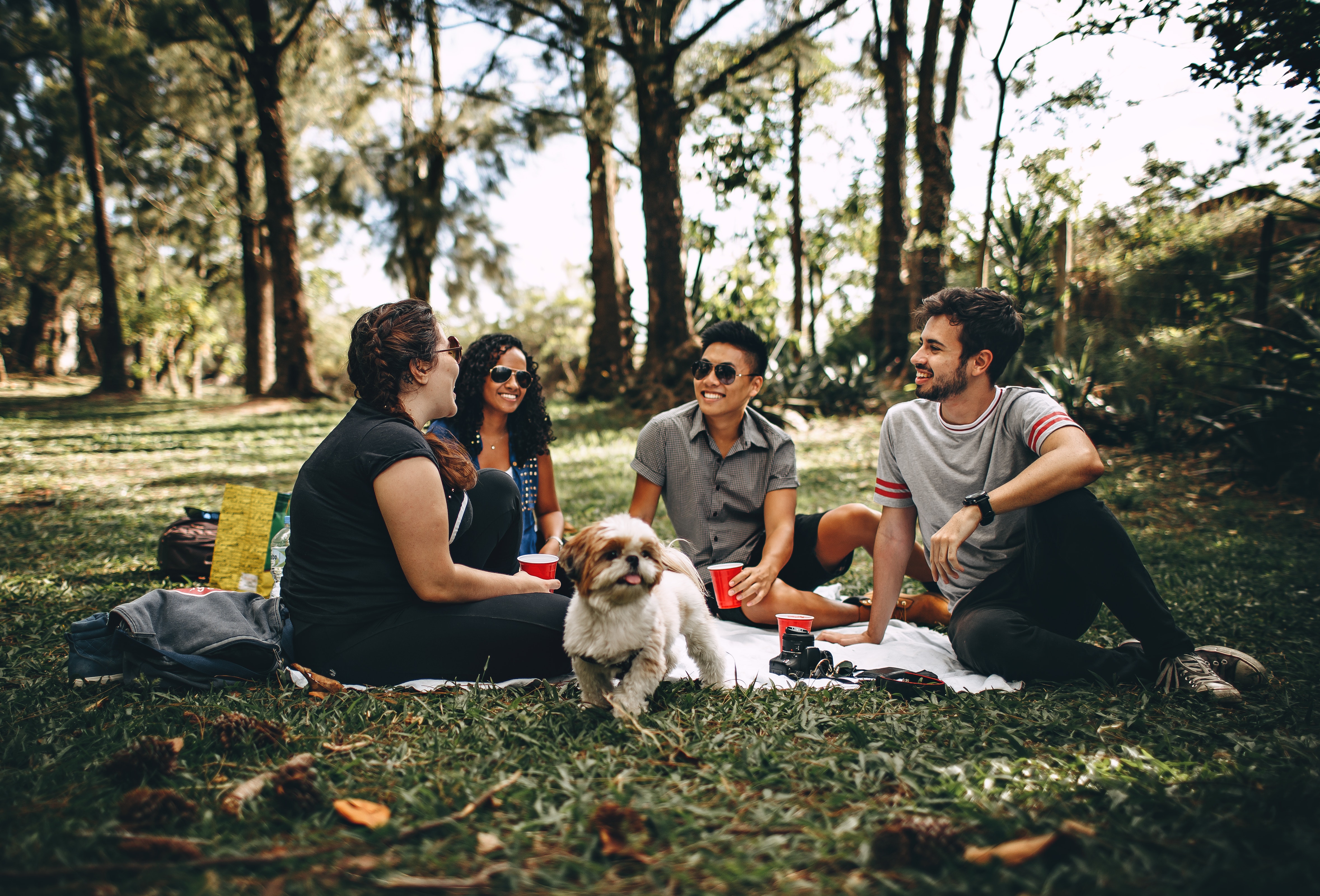 group of friends talking in the park with a talk