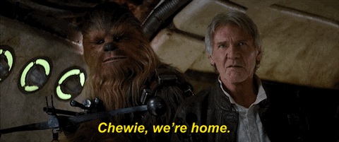 chewbacca and han from starwars going home