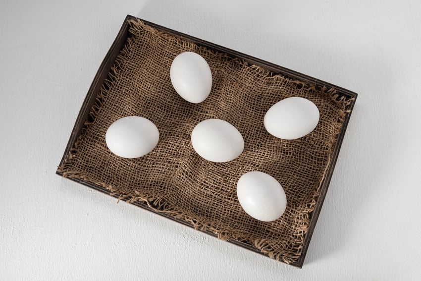 Five eggs in a basket