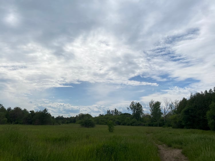 open sky at Cedar Valley Park