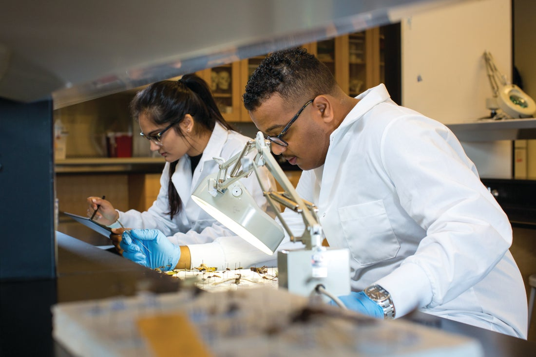 students in a lab