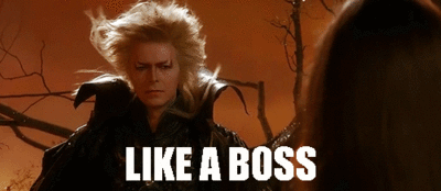 David Bowie meme that says "like a boss"