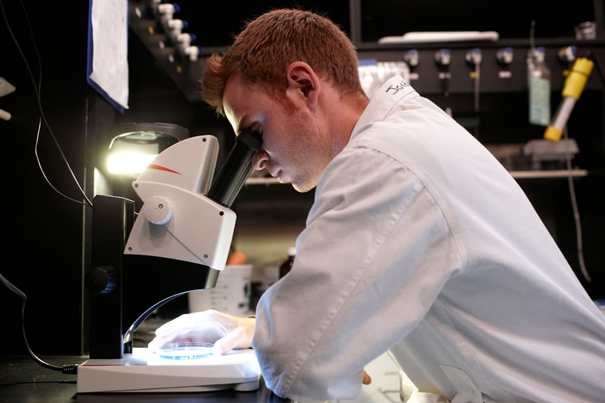 Student examining something through a microscope