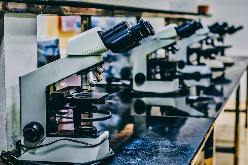 Row of compound microscopes on lab bench