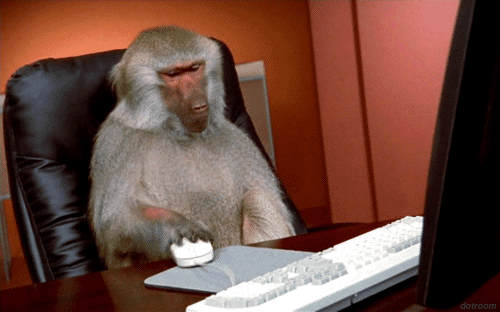 gif of monkey repeatedly clicking a computer mouse
