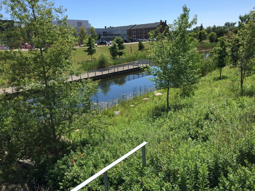 trails behind residence on our campus