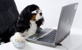 dog using a laptop