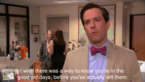 Andy from The Office saying "I wish there was a way to know you're in the good old days, before you have actually left them."