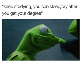 Meme captioned "Keep studying, you can sleep/cry after you get your degree"