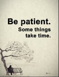 Quote "Be patient. Some things take time. "