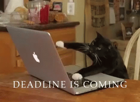 gif of a cat typing on a keyboard captioned "deadline is coming"