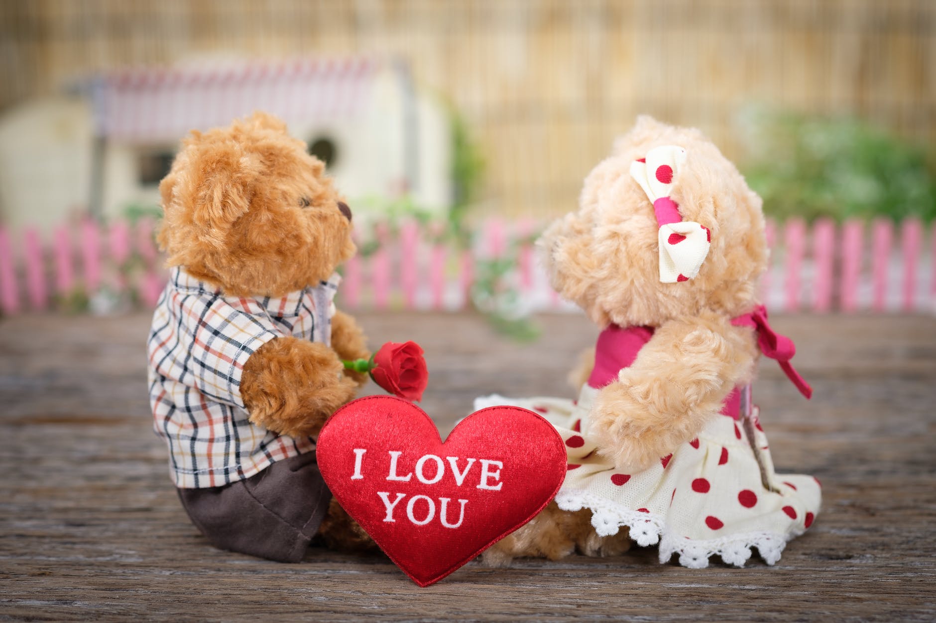 Two bears facing each other with an I love you heart shaped pillow