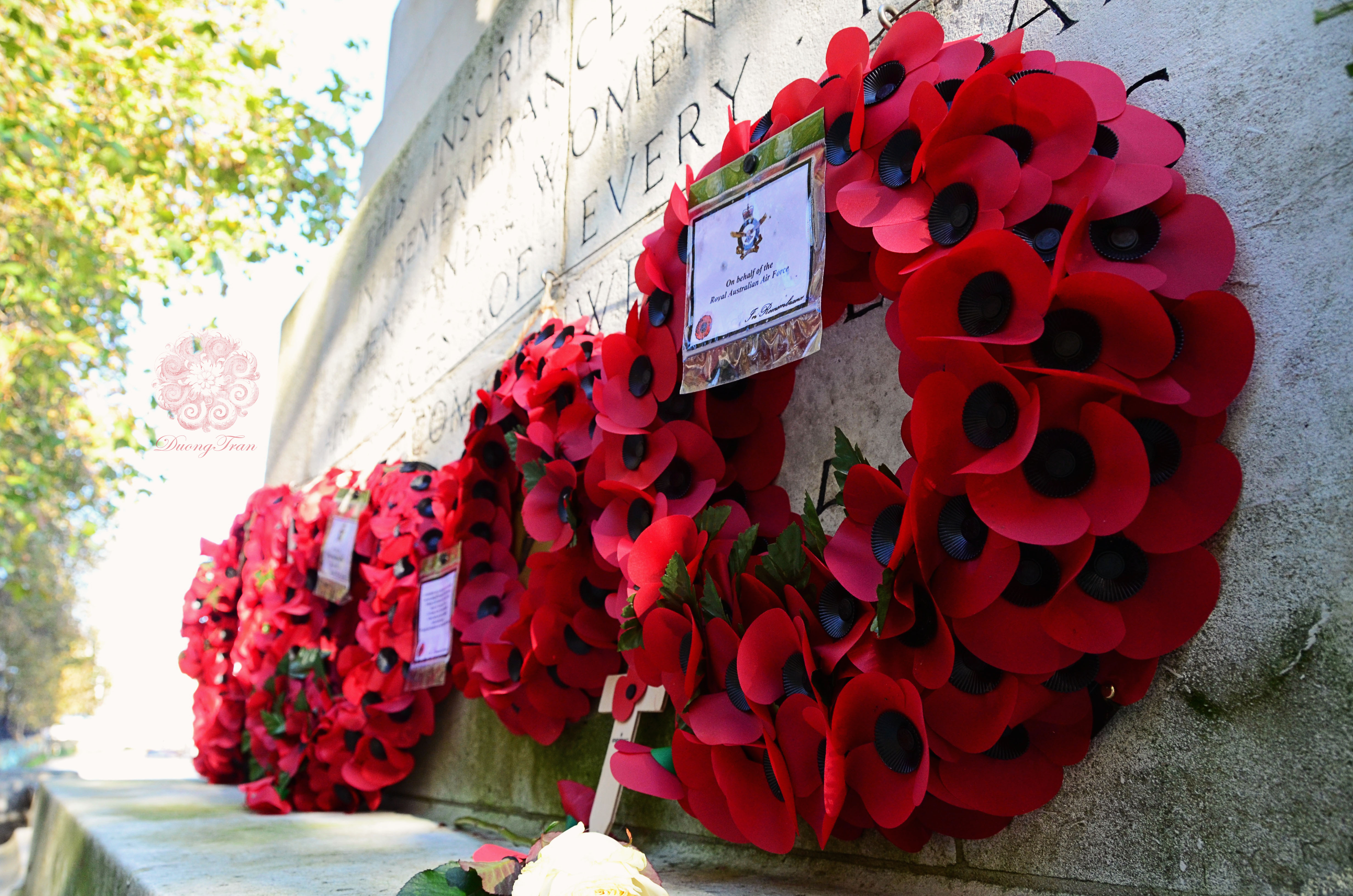 Remembering day. Remembrance Day Poppy. Red Poppy Remembrance Day. Poppy Day or Remembrance Day. Remembrance Day uk.